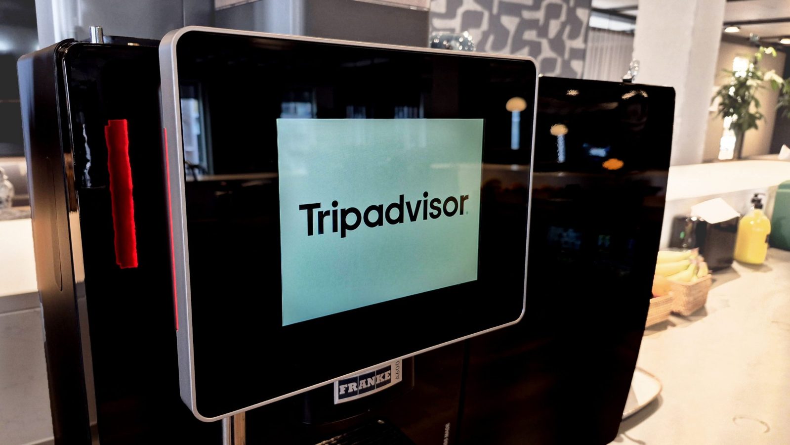 tripadvisor copy